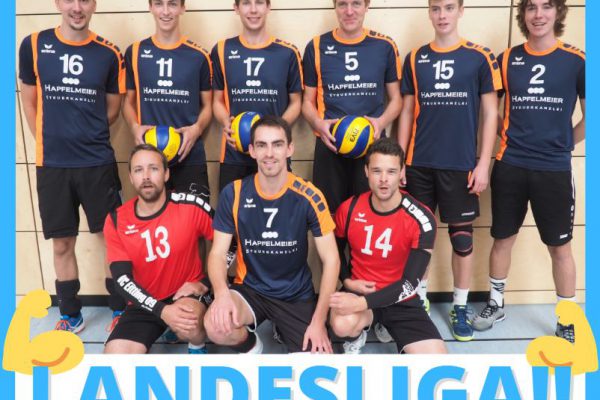 Herren I steigen in die Landesliga auf